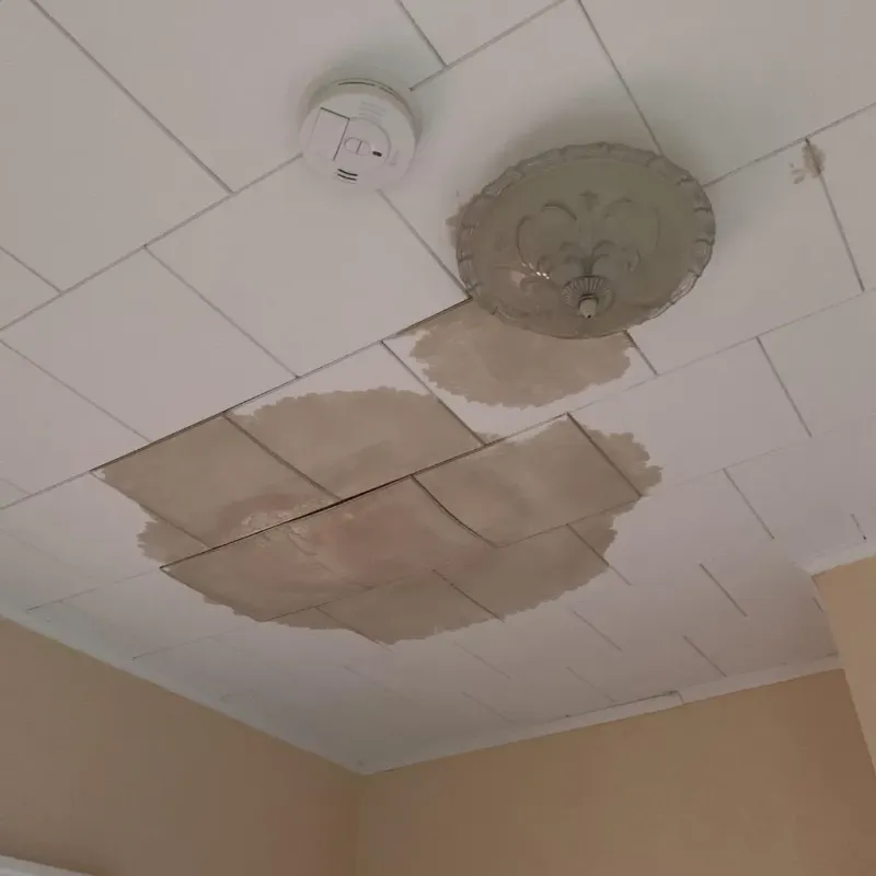 Ceiling Water Damage Repair in Friendly, MD