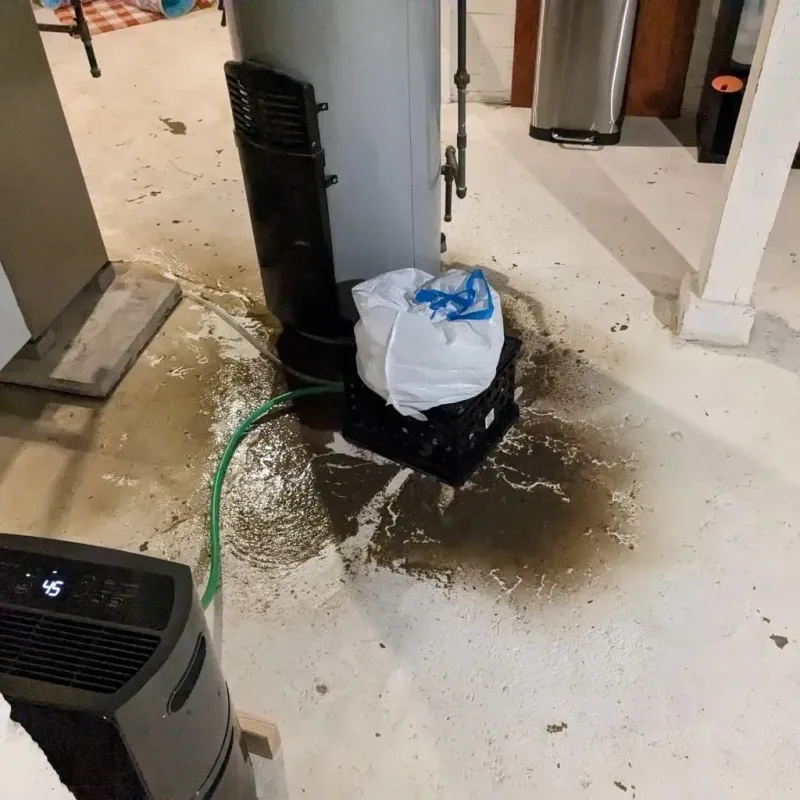Sewage Backup Cleanup Service in Friendly, MD